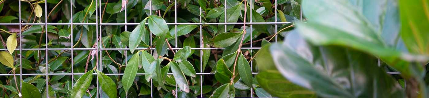 Rapid Products - Header - Mesh Panel