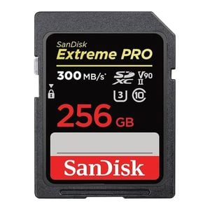 SanDisk Extreme Pro 256GB SDXC Memory Card - Write Speeds Up To 260MB/s [SDSDXDK-256G-GN4IN]