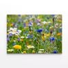 Beautiful Flowering Meadows View  Print 100% Australian Made 120 x 90cm  (Stretched)