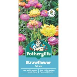 Fothergill's Strawflower Tall Mixed Flower Seeds