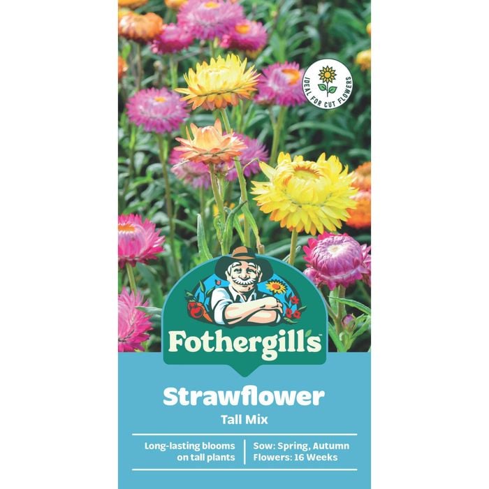 Fothergill's Strawflower Tall Mixed Flower Seeds
