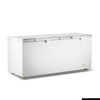 Thermaster 750l Chest Freezer With Stainless Steel Lid Bd750f