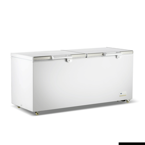Thermaster 750l Chest Freezer With Stainless Steel Lid Bd750f