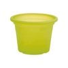 EDEN 25cm Green Transparent Cylinder Planter