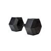 Sumo Strength Hex Dumbbell Panther Series - 35kg (single)