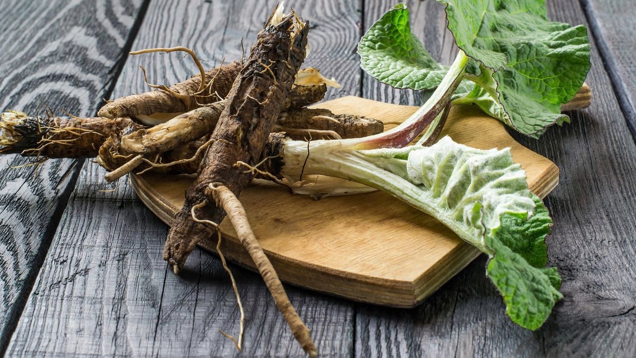 Burdock roots and leaves on a cutting board