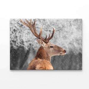 Red Deer in Winter  Print 100% Australian Made 150 x 100cm  (Acrylic)