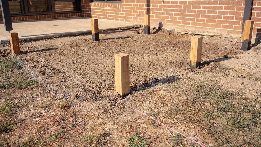 Stumps fixed into the backyard.