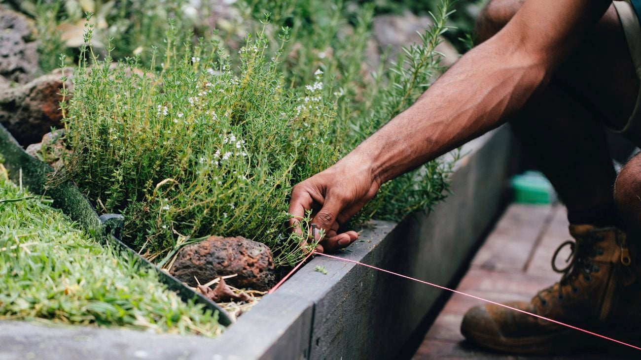 An image showing a tradesperson with a string line attached to a dark-coloured timber sleeper retaining wall