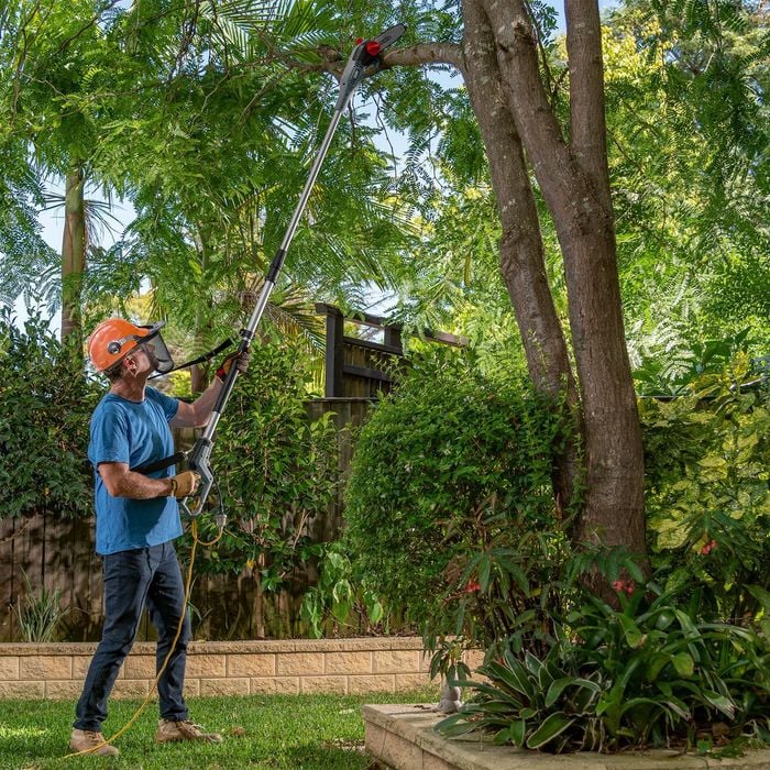 Bunnings electric pole saw sales