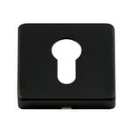 Sylvan Black Square Escutcheon