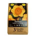 Yarra Valley Bulbs Daffodil Delibes - 3 Pack