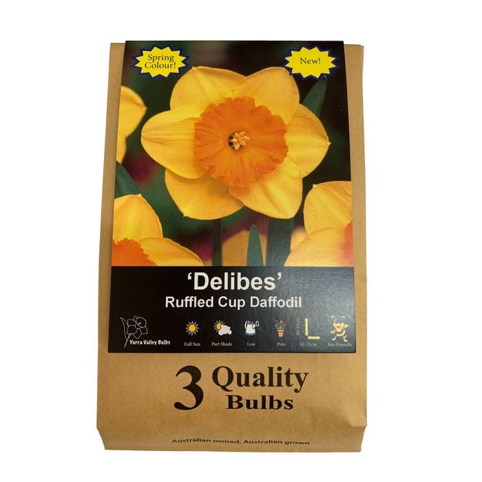 Yarra Valley Bulbs Daffodil Delibes - 3 Pack