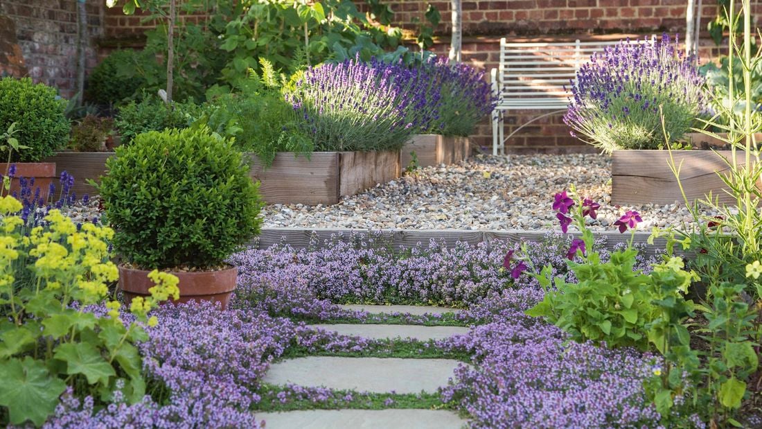 Garden with flowers and paving.