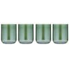 2x 2pc Tempa Verity Lowball Tumbler Drinking Glass Set - Fern