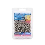 Zenith 10G x 15mm Stainless Steel Pan Head Sheet Metal Screws - 100 Pack