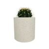120mm Cacti Designer Pot