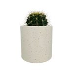 120mm Cacti Designer Pot