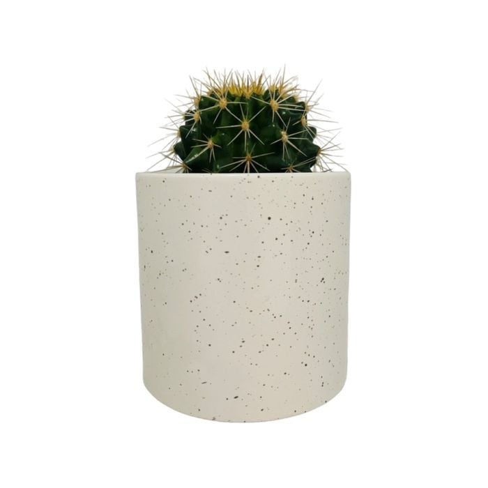 120mm Cacti Designer Pot