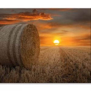 Straw Bales in A Field at Sunset View  Print 100% Australian Made 90 x 60cm  (Stretched)