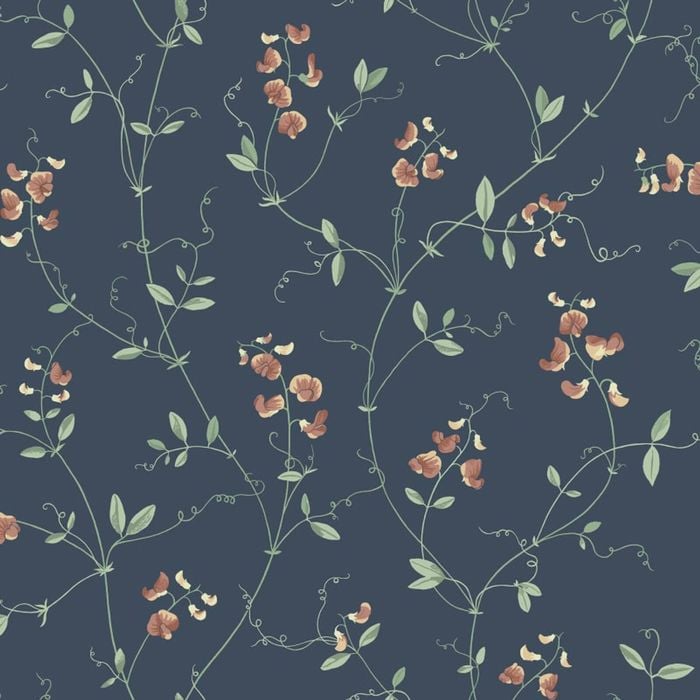 Wallpaper Trader Sanna Sweet Pea Wallpaper Roll 10.05m X 53cm, Dark Blue