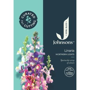 Johnsons Curated For Cutting Linaria Northern Lights