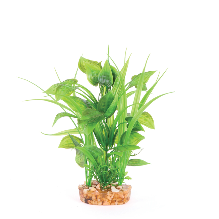 Kazoo Plush Plant - Thin Leaf W/spot Medium (19577)