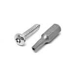 Pinnacle 10g x 20mm Stainless Steel Security Screws - 12 Pack