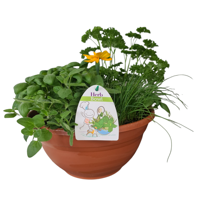 270mm Herb Bowl