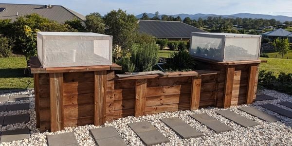 Raised timber sleeper garden bed behind a pebble and paved walkway surrounded by lawn
