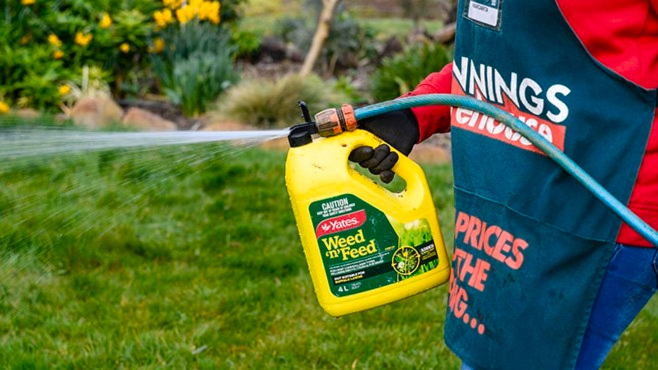 Bunnings Team Member using fertiliser in the garden