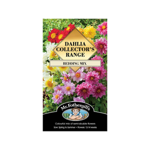 Mr Fothergill's Dahlia Bedding Mix Seeds