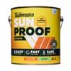 Taubmans 4L Accent Sheen Low Sunproof Exterior Paint