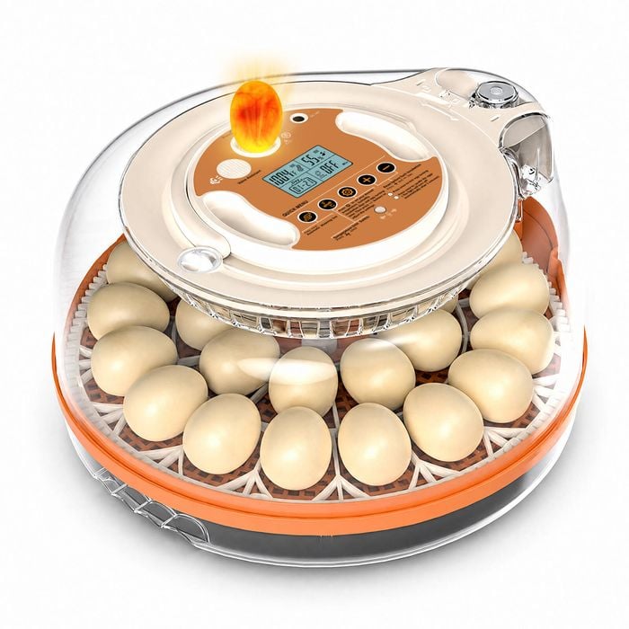 Advwin 26 Egg Incubators For Hatching Eggs Smart Voice Control