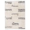 Loopsie-330cm X 240cm-bao Cream And Black Striped Shag Rug