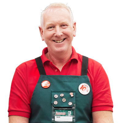 Male bunnings team member