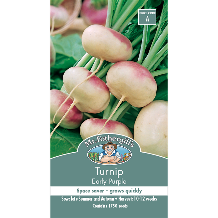 Mr Fothergill's Seed Turnip Early Purple