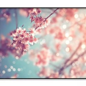 Close-Up Beautiful Vintage Sakura  Print 100% Australian Made 90x60cm  (Poster)