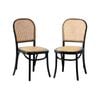 Oikiture 2PCS Dining Chairs Wooden Chairs Black