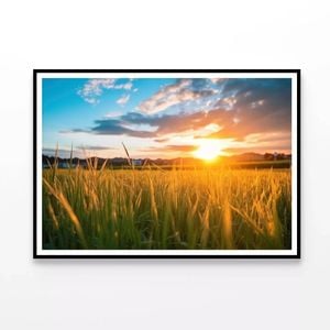 Grassland Scenery on Sunset   Print 100% Australian Made 120x90cm  (Poster)