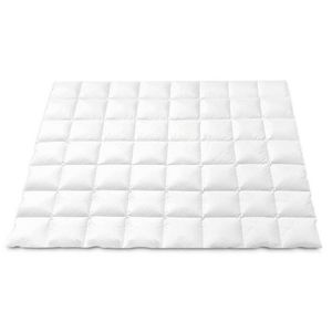 Giselle 800GSM Goose Down Feather Quilt Winter Blanket Duvet Comforter Double White