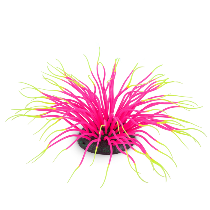 Kazoo Silicone Plant - Sea Anemone W/air Pink (19658)