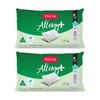 2PK Tontine Allergy Plus Stain Ease Pillow High & Firm Athsma Friendly Standard