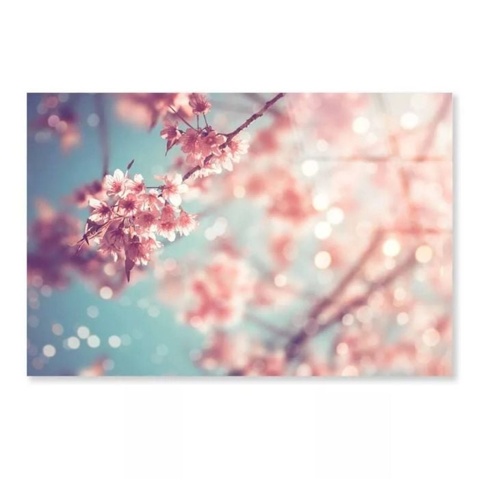 Vintage Sakura Flowers  Print 100% Australian Made 120 x 90cm  (Acrylic)