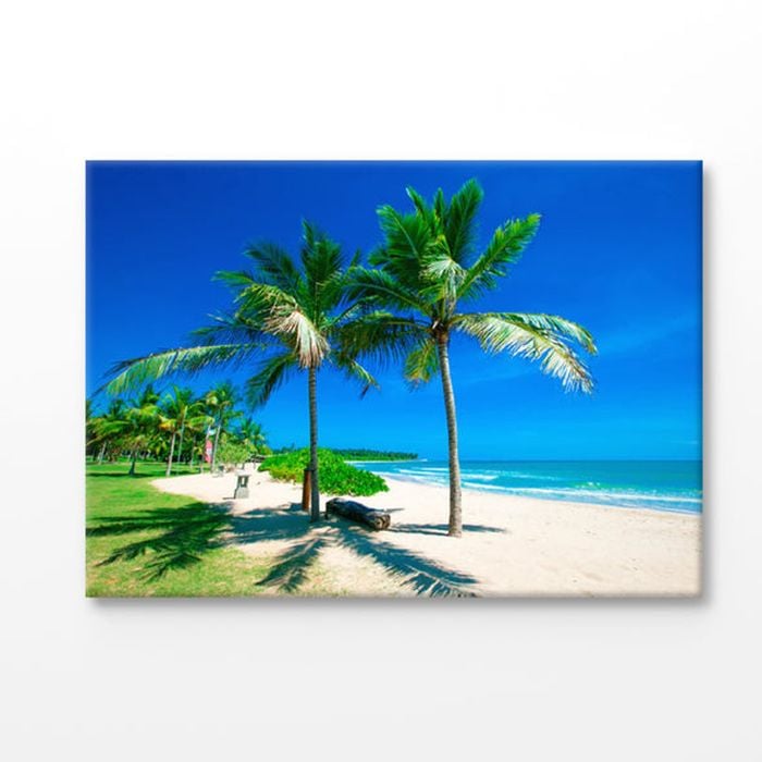 Untouched Tropical Beach in Sri Lanka Print 100% Australian Made 75x50cm (Stretched Canvas)