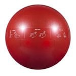 GoFit Pro Guide Ball 65cm Gym Ball