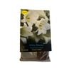 Yarra Valley Bulbs Lilium White Heaven 4 Pack