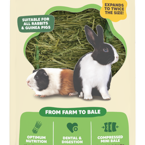 Vetafarm Origins Mini Bales Fescue Hay for Adult Rabbits & Guinea Pigs 1kg