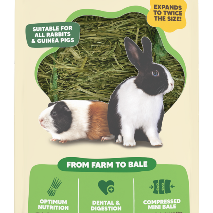 Vetafarm Origins Mini Bales Fescue Hay for Adult Rabbits & Guinea Pigs 1kg