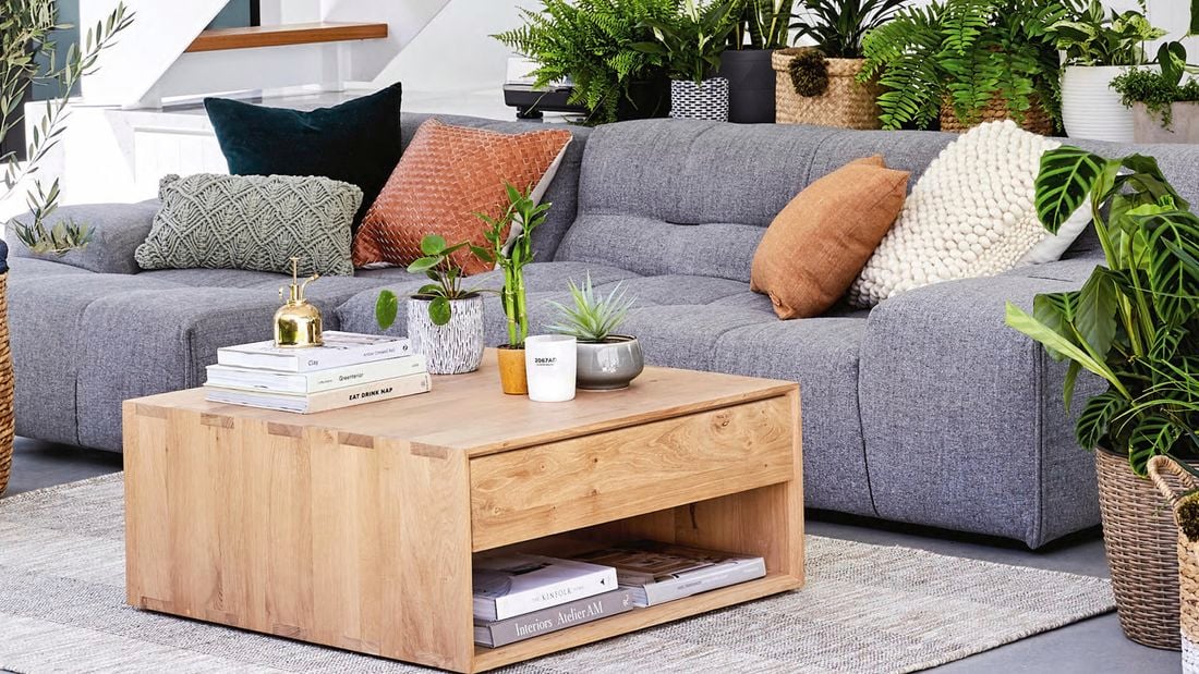 Couch with pillows on it and surrounded by plants.